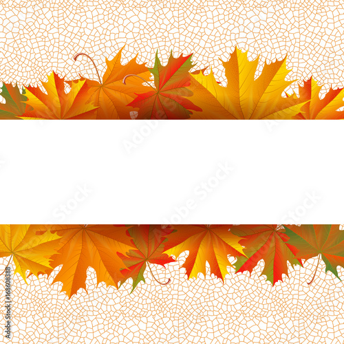 Autumn leaves background