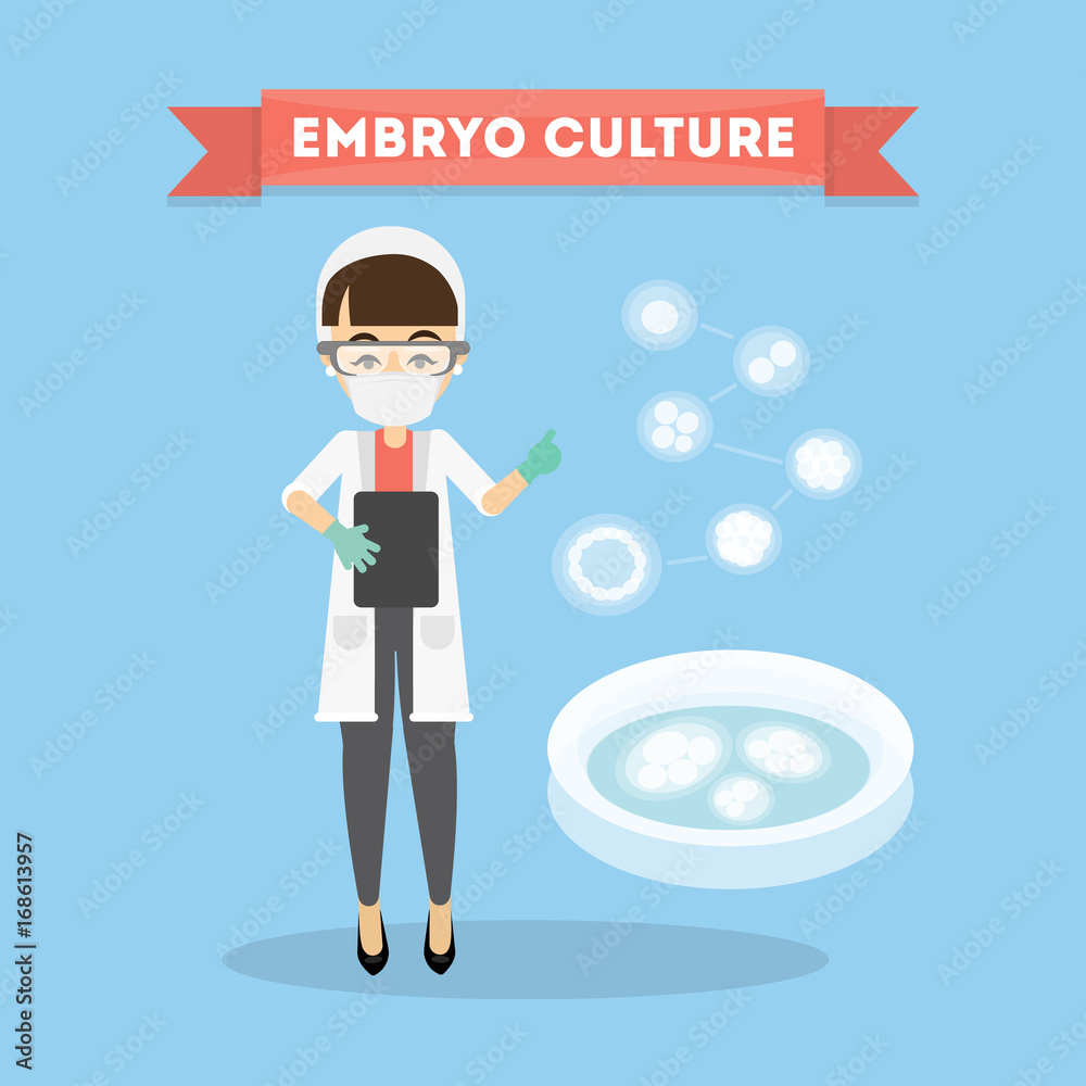 Embryo culture concept. Embryo culture concept.