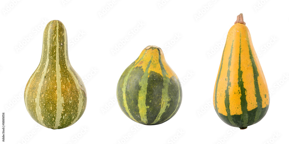 Stenska nalepka The close-up of pumpkin isolated on white background