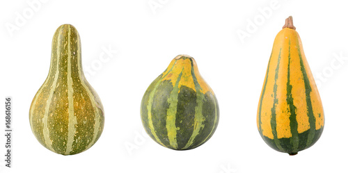The close-up of pumpkin isolated on white background
