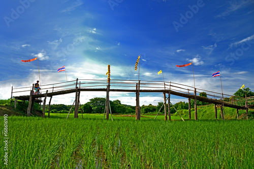 Rural Green rice fields and bamboo bridge. Place name Sutongpe Bridge. the longest wooden bridge located in lampang province The Northern of Thailand. photo