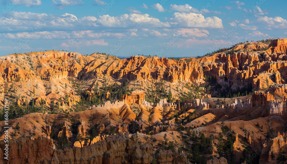 Naklejka premium Scenery in Bryce Canyon National Park, under warm sunrise light