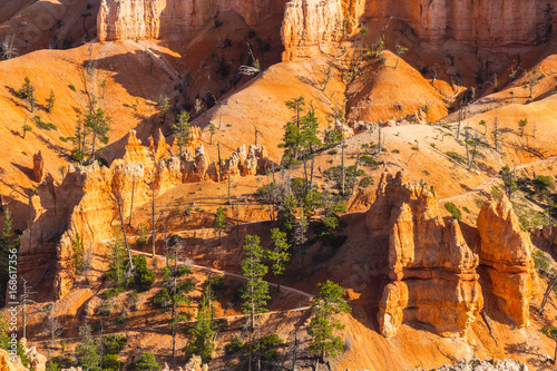 Scenery in Bryce Canyon National Park, under warm sunrise light