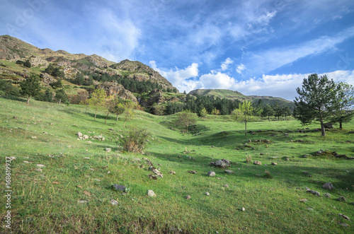 Green caucasus mountains landscape in evening, natural background