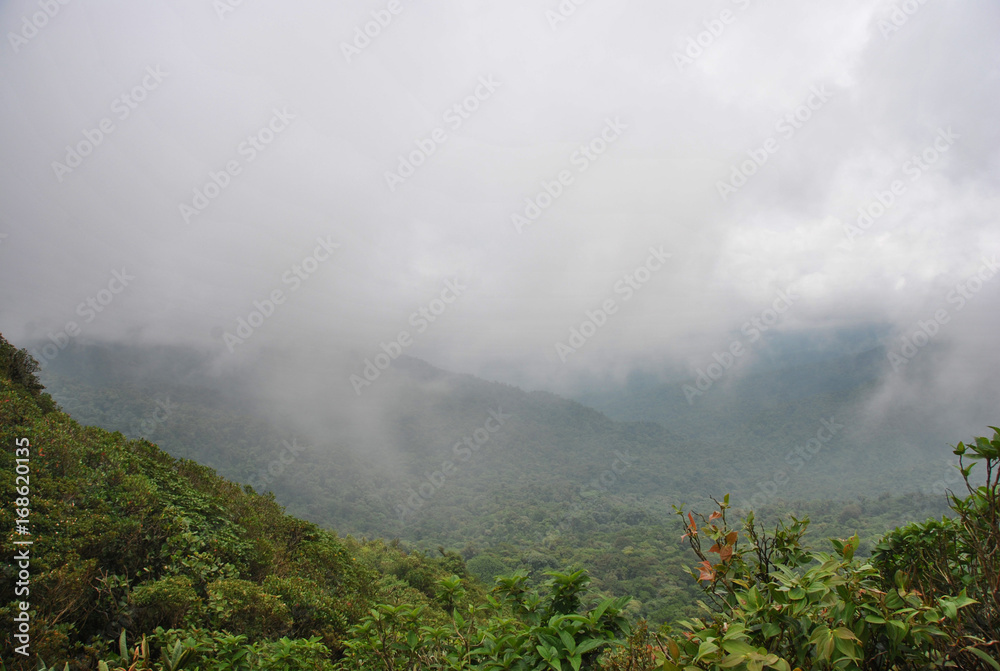 Monteverde, forêt de nuages