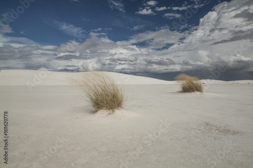 White Sands, New Mexico.