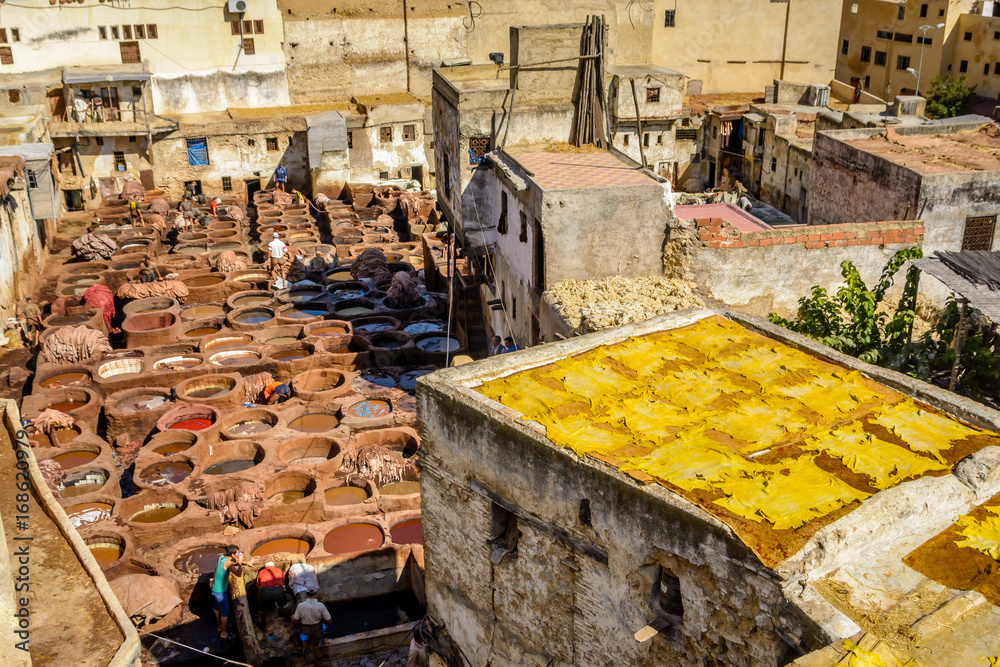 Leather Tanneries - where skins are processed into leather, Fez, Morocco