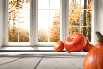 autum whitw kitchen
