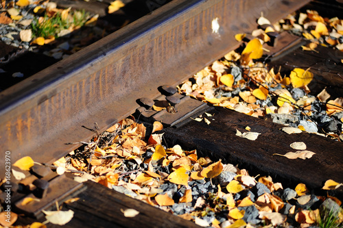Railway track with fall leaves