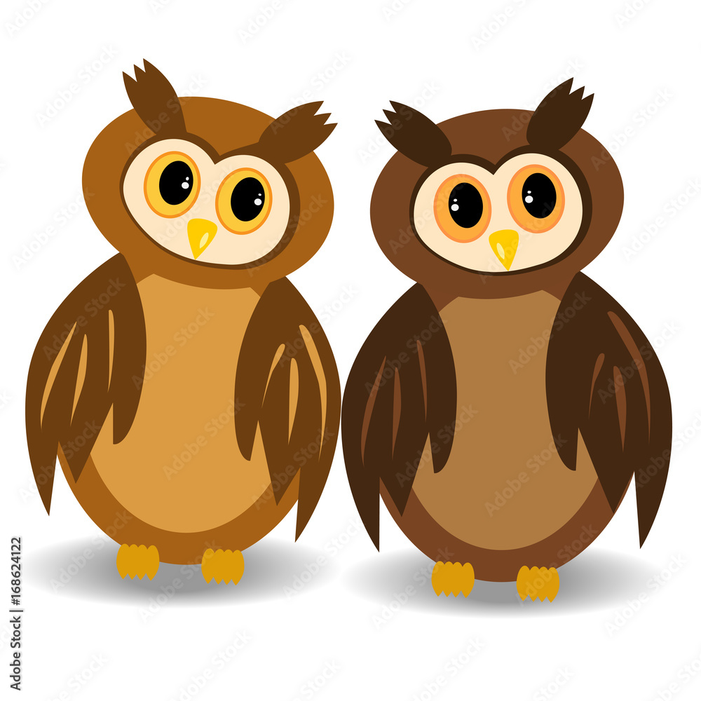 Fototapeta premium Two brown, awake owls with open eyes looking at each other