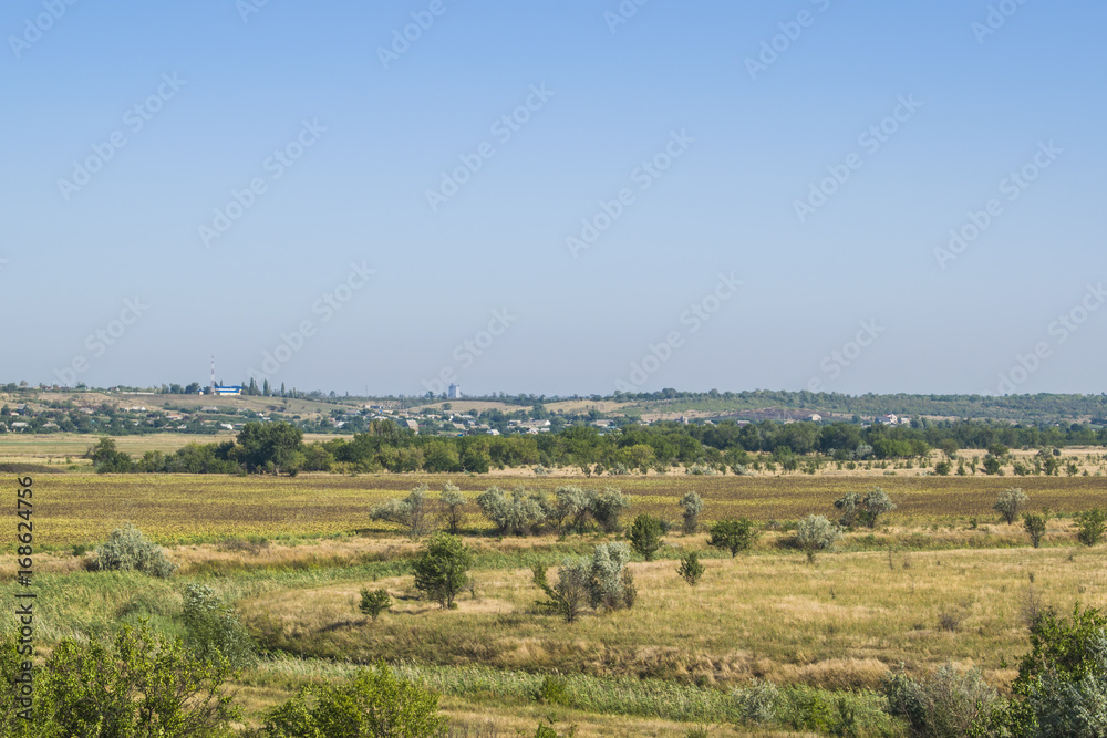 Fototapeta premium The blue sky on a huge field, all withered