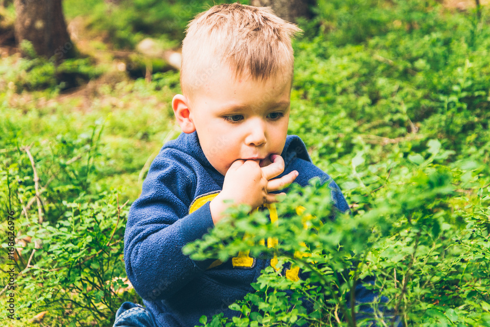Little kid eat blueberry in the forest Little kid eat blueberry in the forest