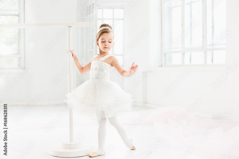 Little ballerina girl in a tutu. Adorable child dancing classical ballet in a white studio. Little ballerina girl in a tutu. Adorable child dancing classical ballet in a white studio.