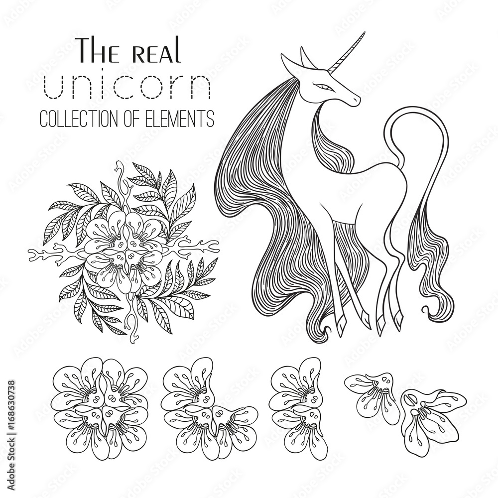 Obraz premium The Real Unicorn Collection