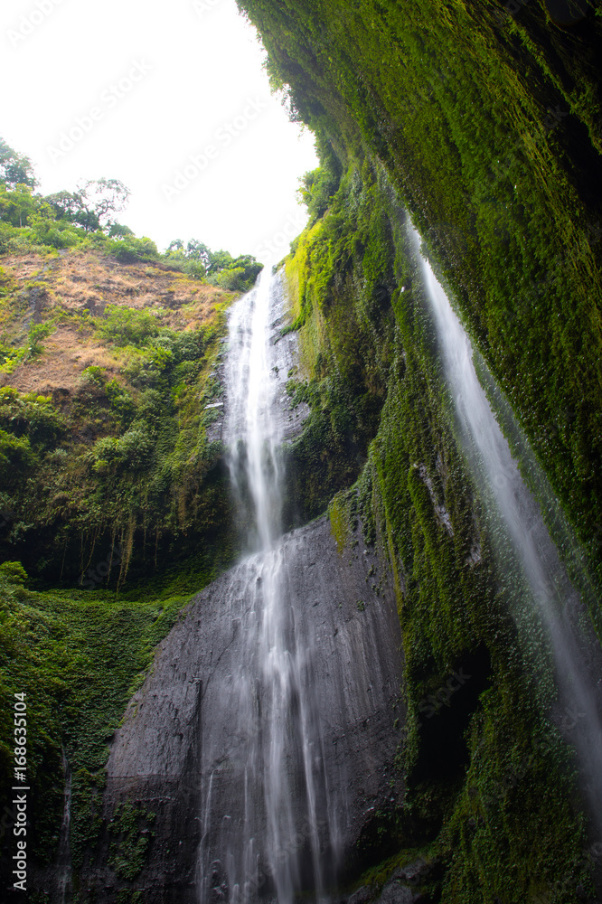Obraz premium Madakaripura Waterfall is the tallest waterfall in Java and the second tallest waterfall in Indonesia. 
