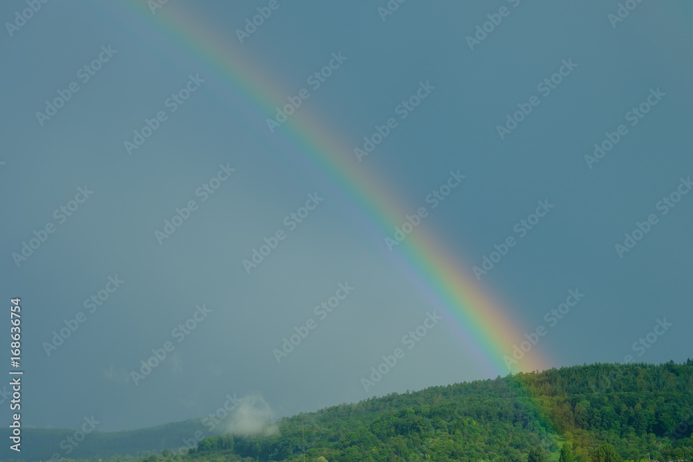Regenbogen über einem Wald Regenbogen über einem Wald