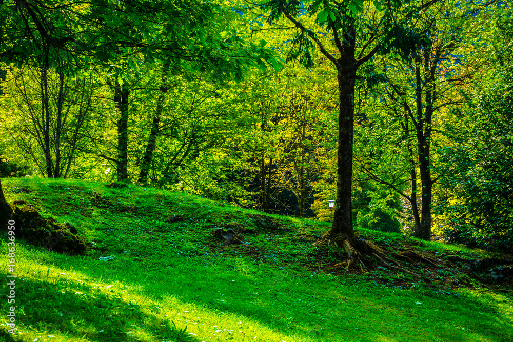 Fototapeta premium my best photo