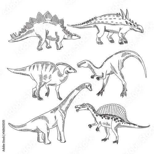 Stegosaurus, triceratops tyrannosaurus and other dinosaur types. Vector hand drawn pictures isolate