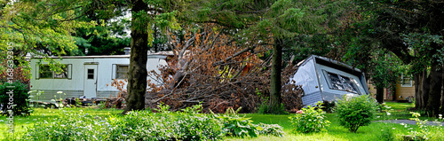 storm damage tree versus mobile home