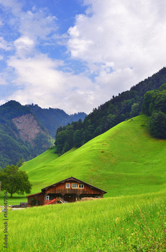Stunning alpine landscape in canton Uri, Switzerland