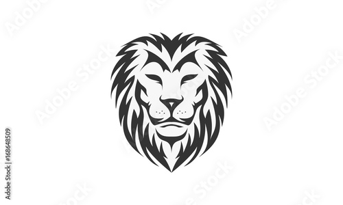 Lion logo vector