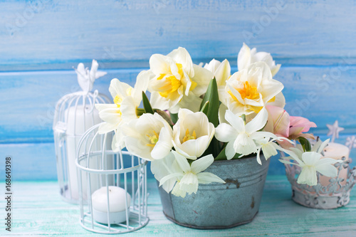 Fototapeta Naklejka Na Ścianę i Meble -  White daffodils and tulips  flowers in bucket  on turquoise  painted wooden planks against blue wall