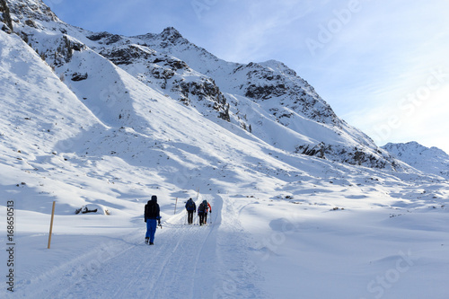 Group of people hiking on wintery snowy path and mountain panorama in Stubai Alps, Austria © johannes86