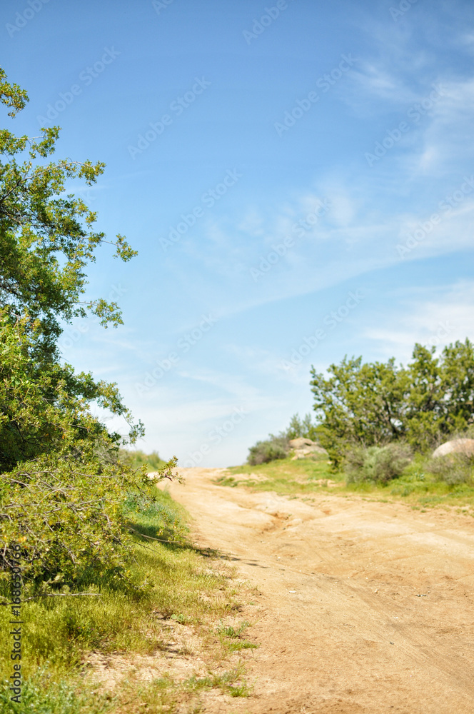 Obraz premium Nature path