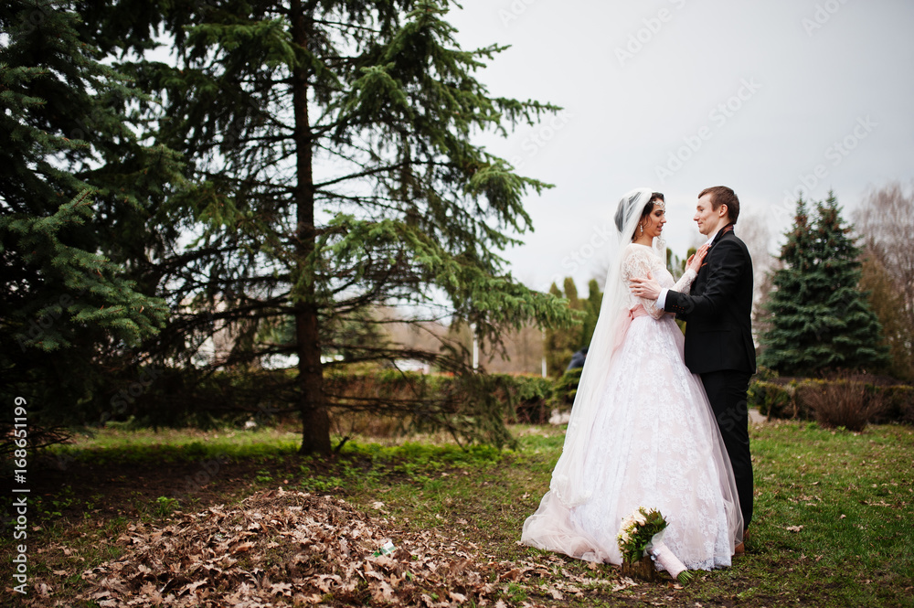 Newlyweds walking, enjoying each other's company and posing in the park on their wedding day. Newlyweds walking, enjoying each other's company and posing in the park on their wedding day.