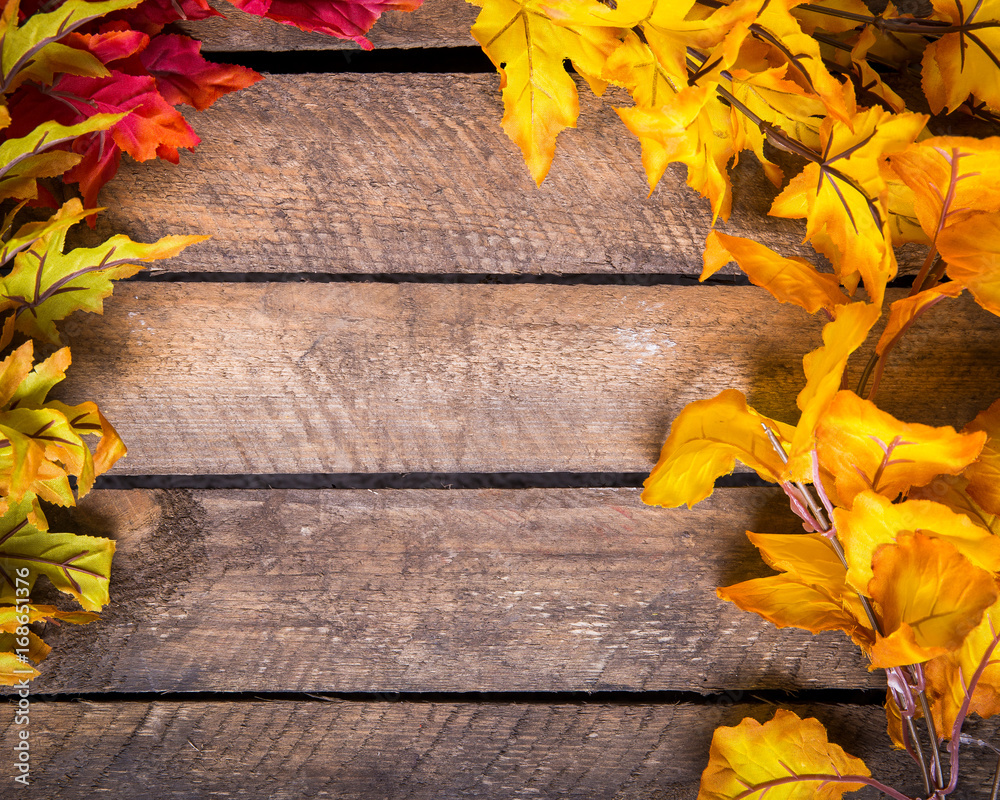 Obraz premium Bunte Herbstblätter