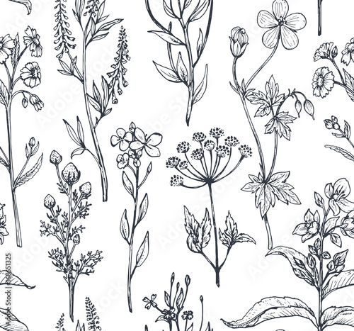 Vector seamless pattern with hand drawn herbs and flowers