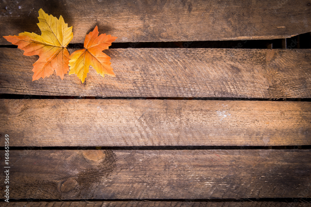 Obraz premium Bunte Herbstblätter