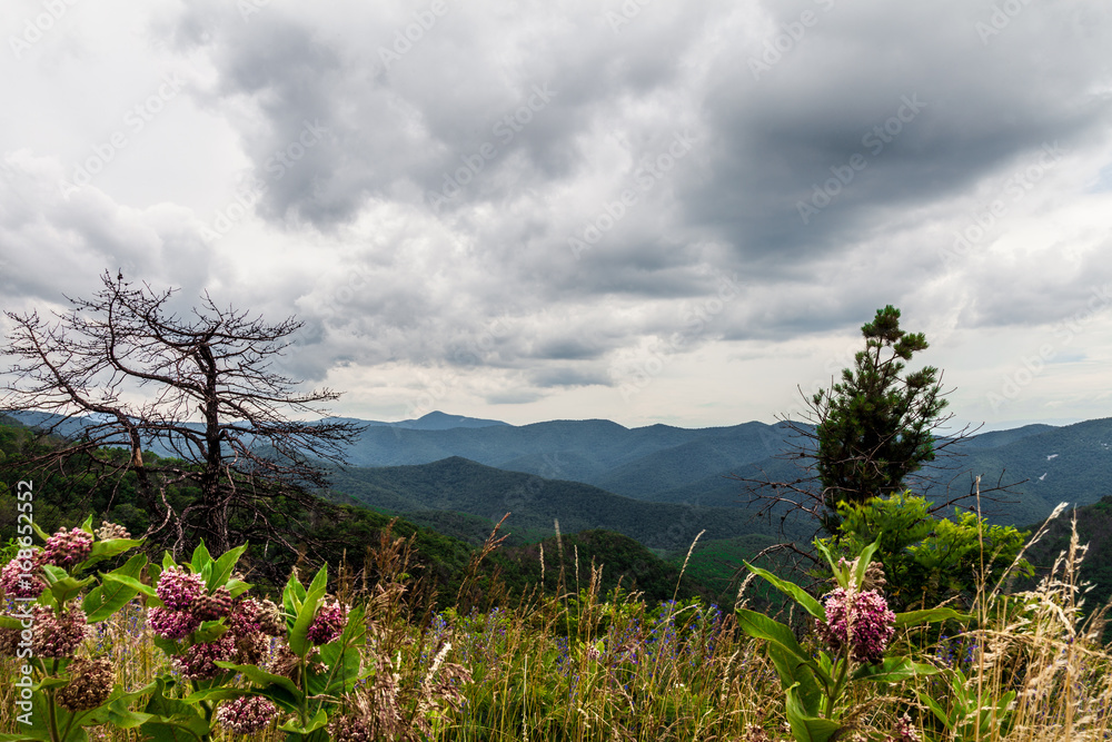 Fototapeta premium This is a view of the Great Smoky Mountains from the Blue Ridge Parkway in North Carolina.