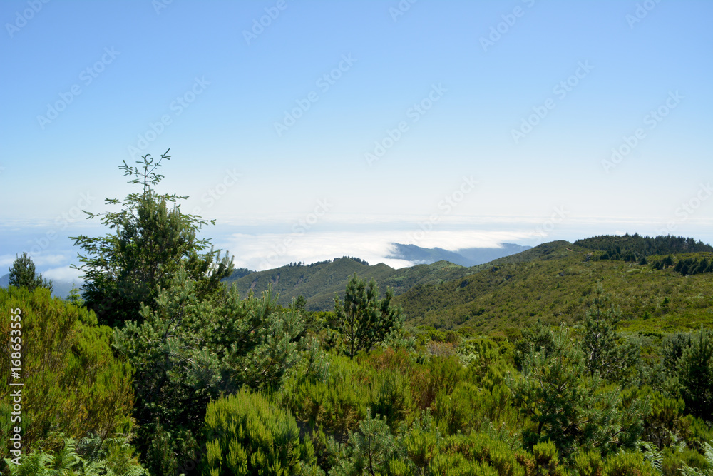 View above the clouds of volcanic mountains and sea at the peak of the aireiro, madeira