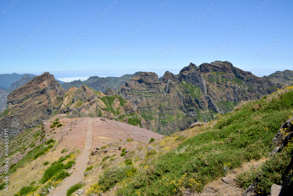 Endless mountain trail in olla volcanica la isla de madera Endless mountain trail in olla volcanica la isla de madera