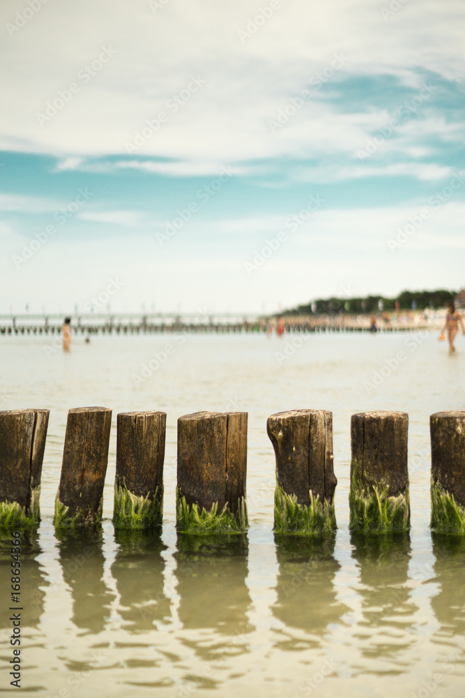 Fototapeta premium groynes in the baltic sea