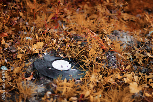 Plate lying in foliage