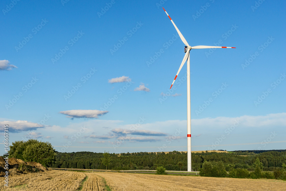 Fototapeta premium windmill at a sunny day