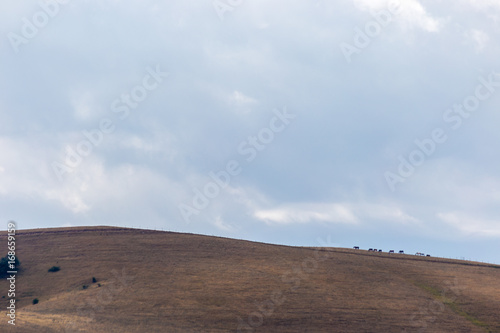 Some distant horses on top of a mountain, beneath a huge sky with clouds