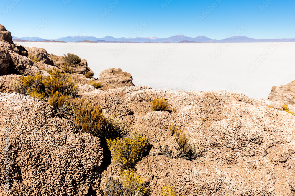 Lava rocks formations Salar De Uyuni islands mountains landscape Lava rocks formations Salar De Uyuni islands mountains landscape