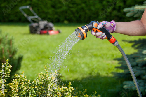 Young woman watering in the garden.