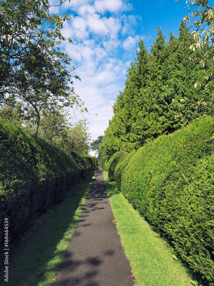  summer countryroad,Northern Ireland