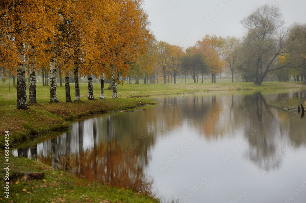 Rainy landscape in autumn, birch trees and reflection in water Rainy landscape in autumn, birch trees and reflection in water