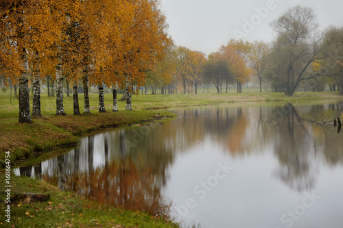 Rainy landscape in autumn  birch trees and reflection in water
