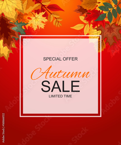 Abstract Vector Illustration Autumn Sale Background with Falling