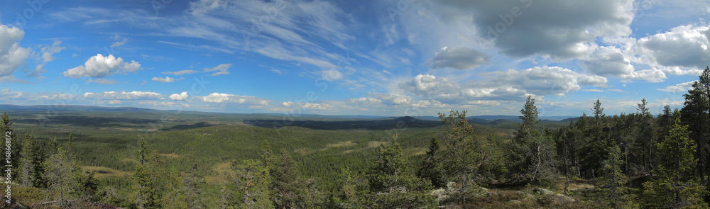 View from Gaellkleven in Dalarna in Sweden