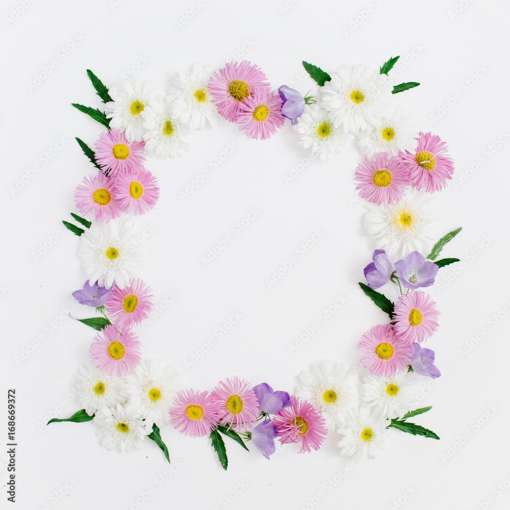 Floral frame of white and pink chamomile daisy flowers, green leaves on white background. Flat lay, top view. Daisy background. Mock up frame of flower buds.