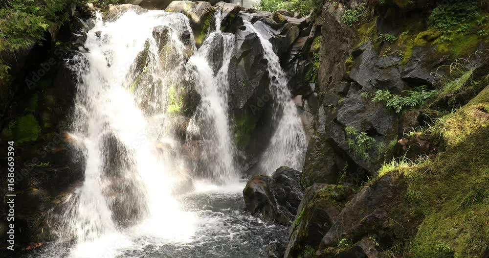 Unnamed waterfall on the Paradise River in Mt. Rainier National Park. Unnamed waterfall on the Paradise River in Mt. Rainier National Park.