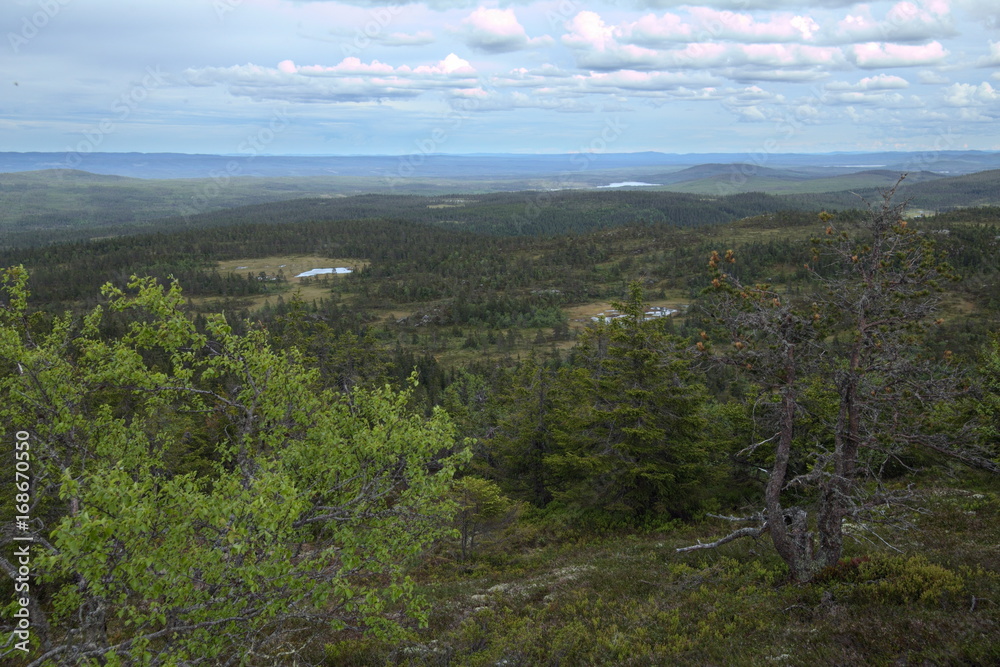 Panoramic view from Storvarden in the nature reserve Tandoevala in Dalarna, Sweden