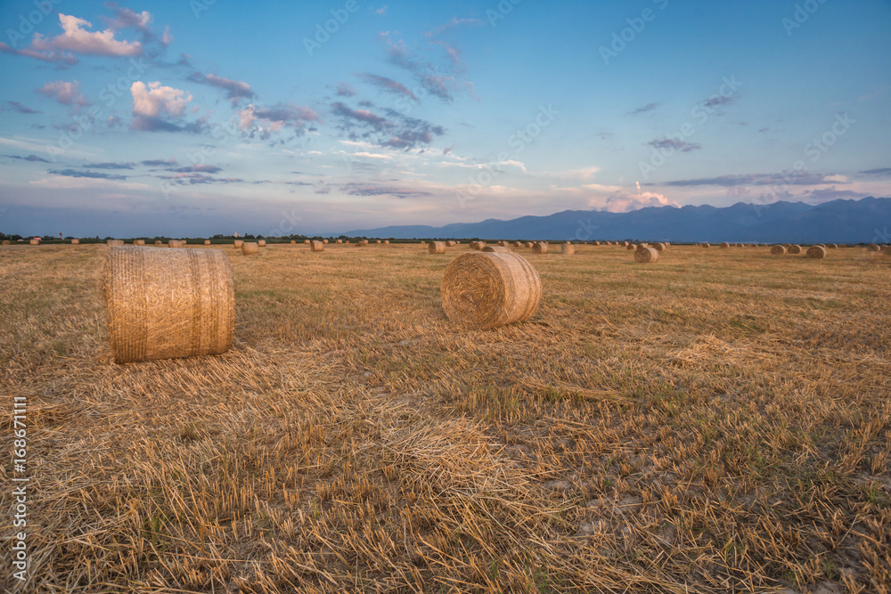 Baled Hay Rolls at Sunset
